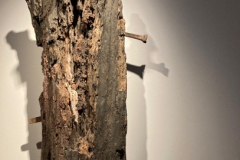 46dccd20-cbc1-46a1-ba4b-fbe66648826f