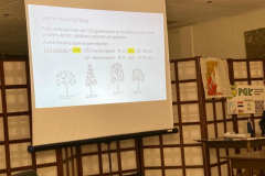 727535d8-ed1f-4527-a673-999d3b16ff5c