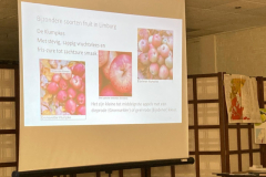 9bda1910-3caf-4099-ba58-855f69515a7c